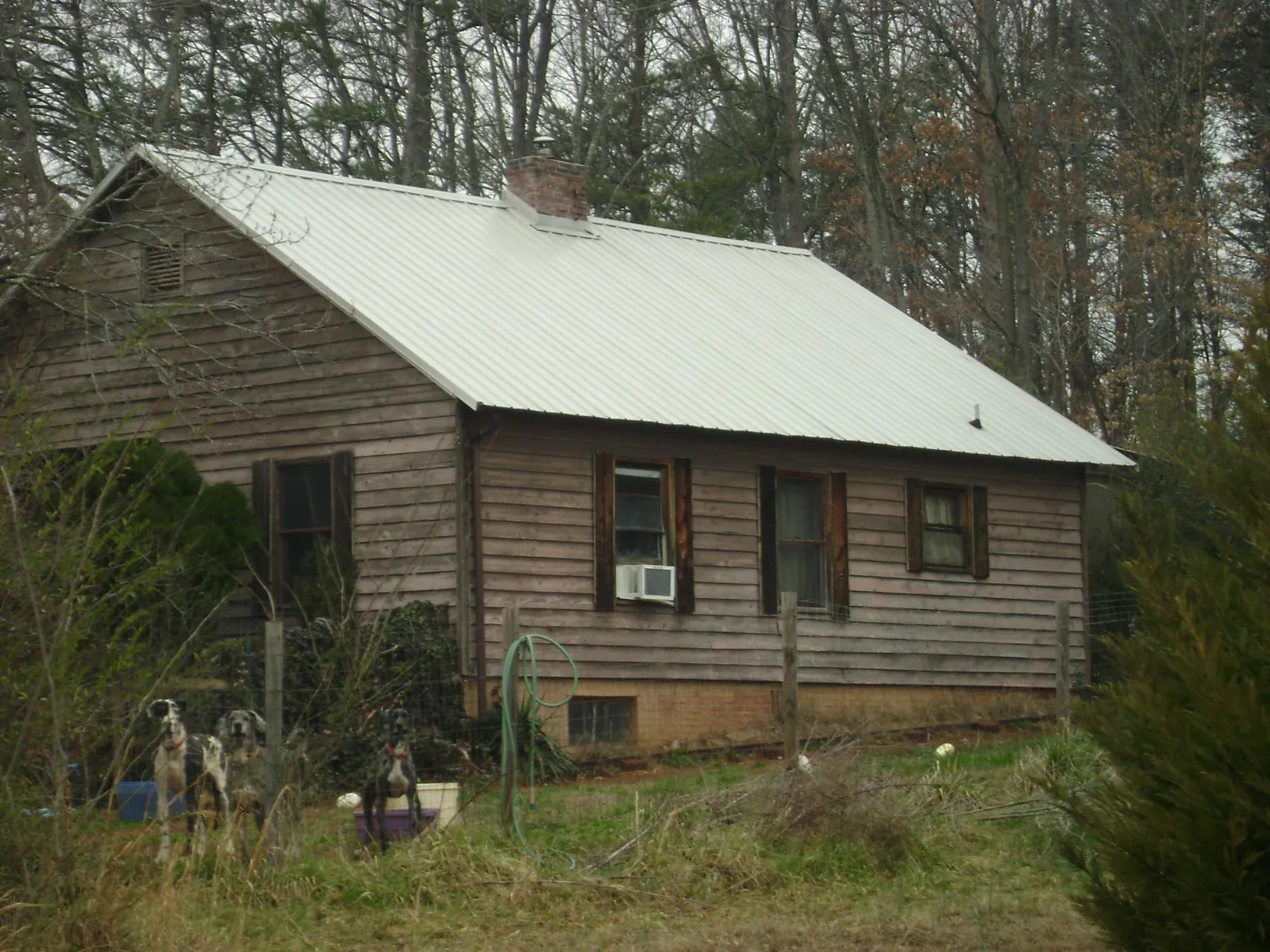 White metal roof on an old wood sided farmhouse, from a Asphalt Shingle Roof Repair job in Blakely Island